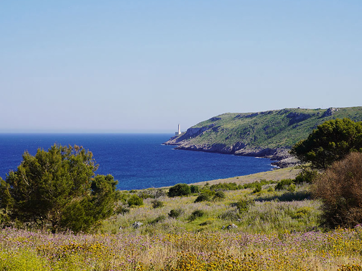 casa marisa posizione salento